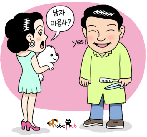 노트펫