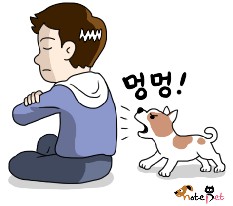 노트펫
