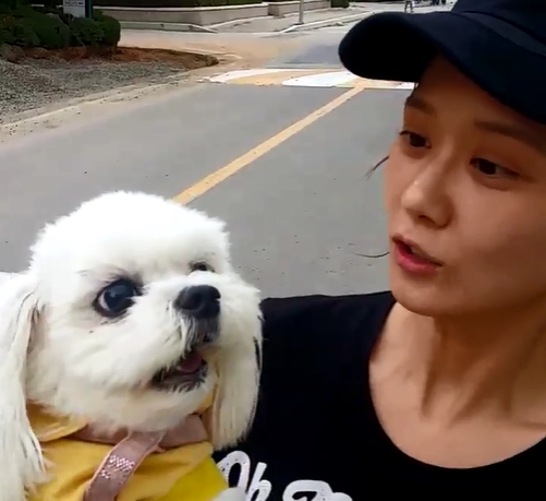 노트펫