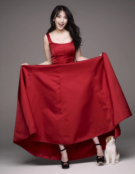 노트펫
