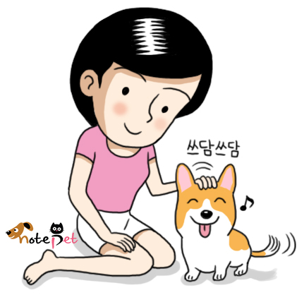노트펫