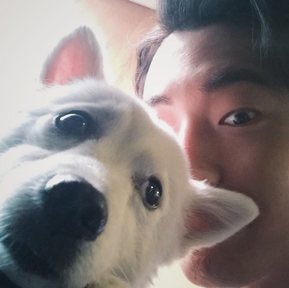 노트펫