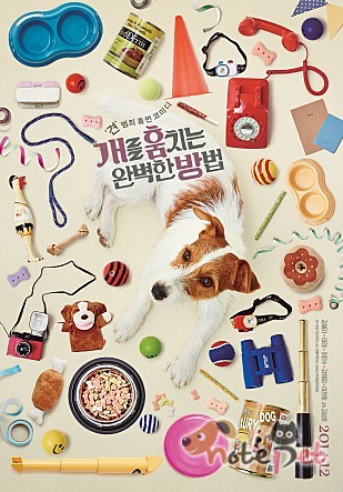 노트펫