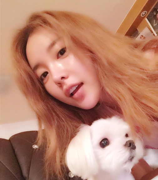 노트펫