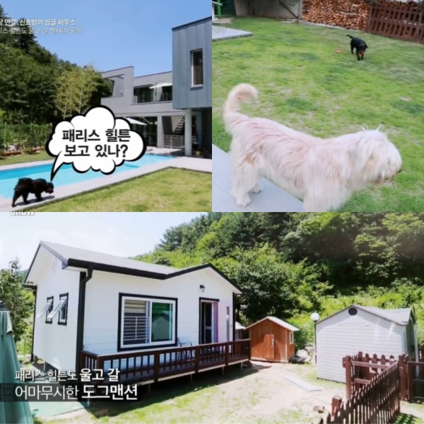 노트펫