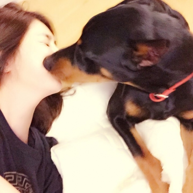 노트펫