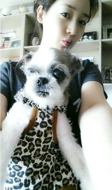 노트펫