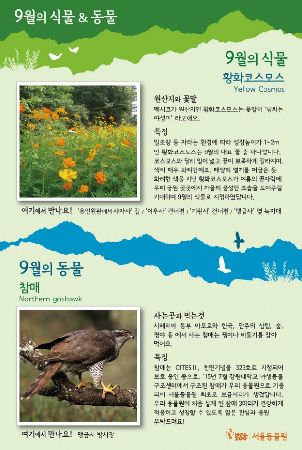 노트펫