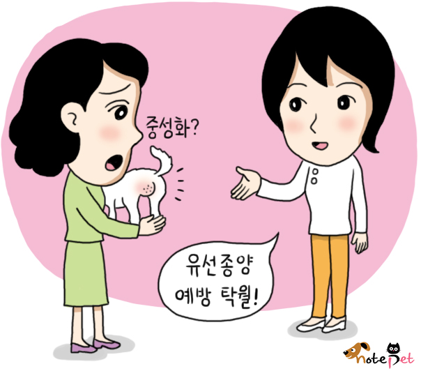 노트펫