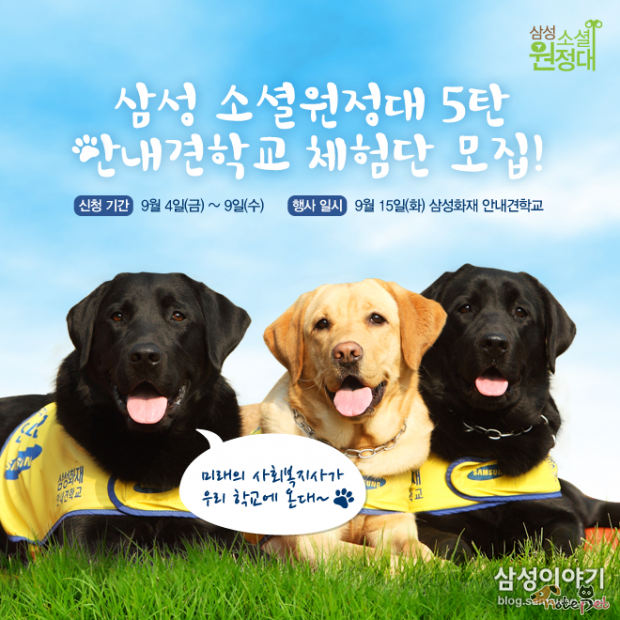 노트펫