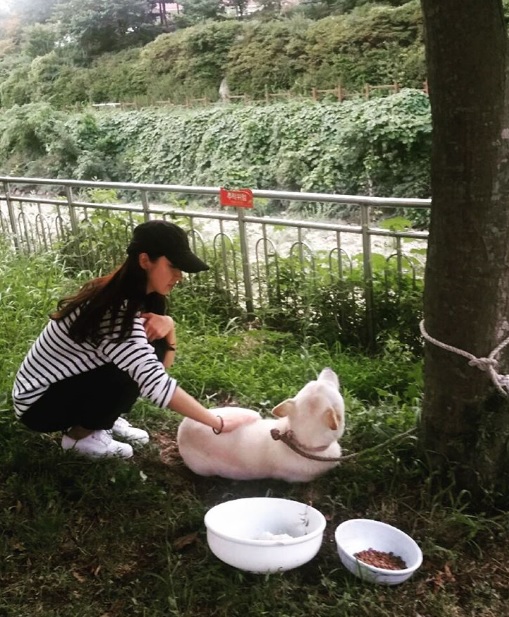 노트펫