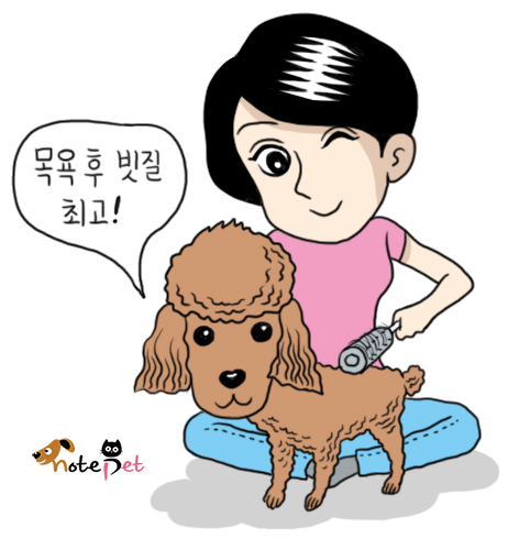 노트펫