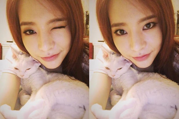 노트펫