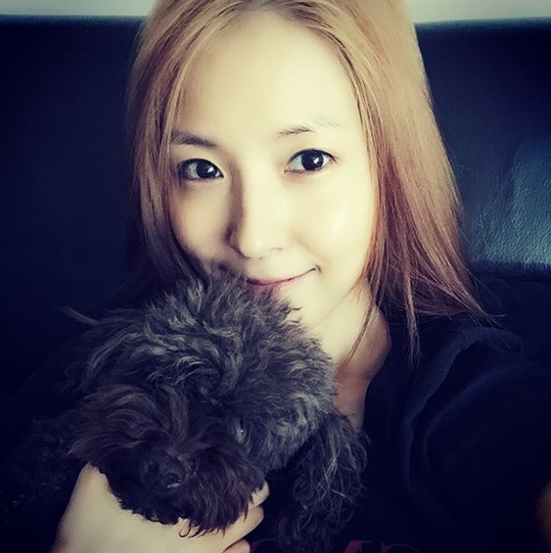 노트펫
