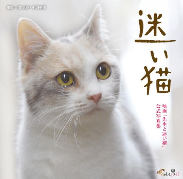 노트펫