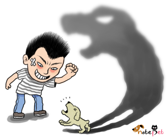 노트펫
