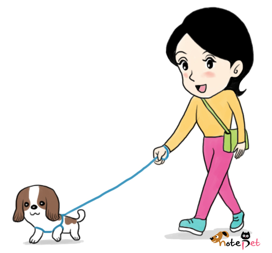노트펫