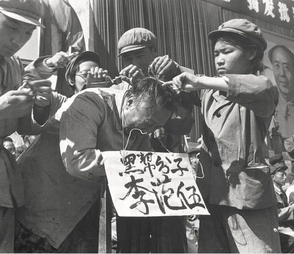 노트펫