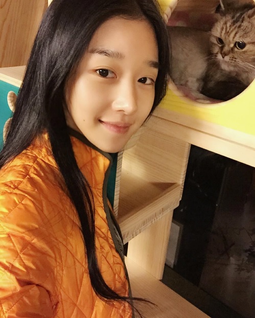 노트펫