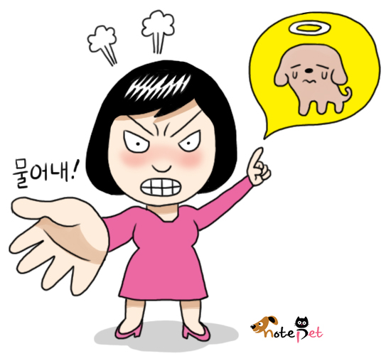 노트펫