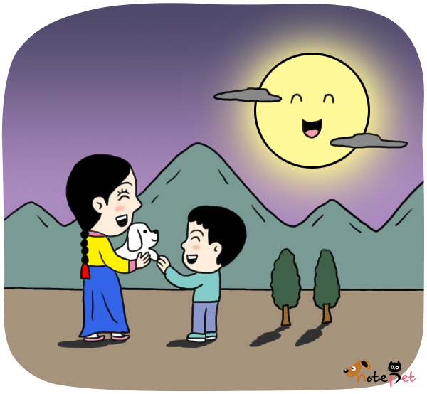 노트펫