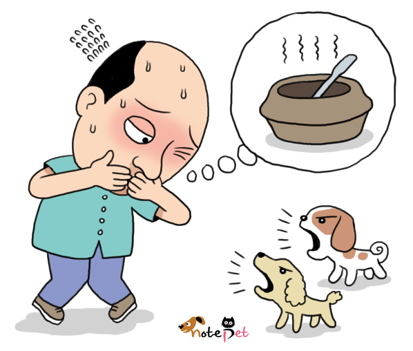 노트펫