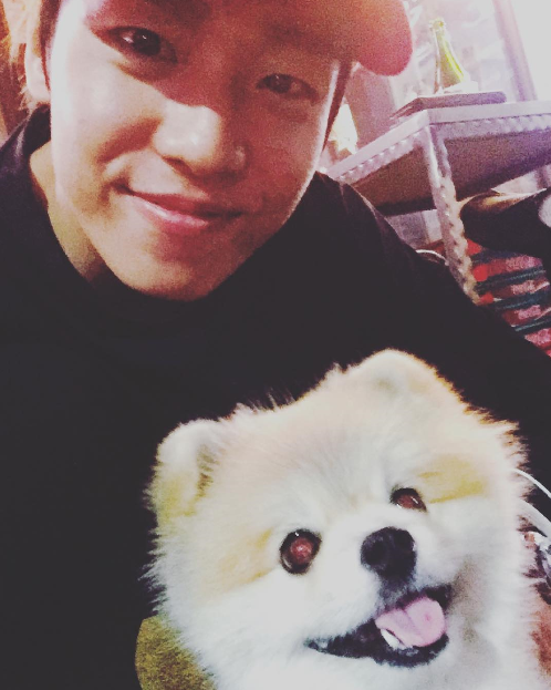 노트펫