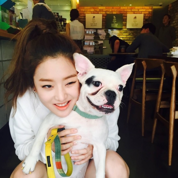 노트펫