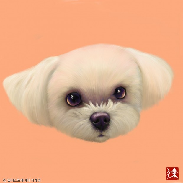 노트펫