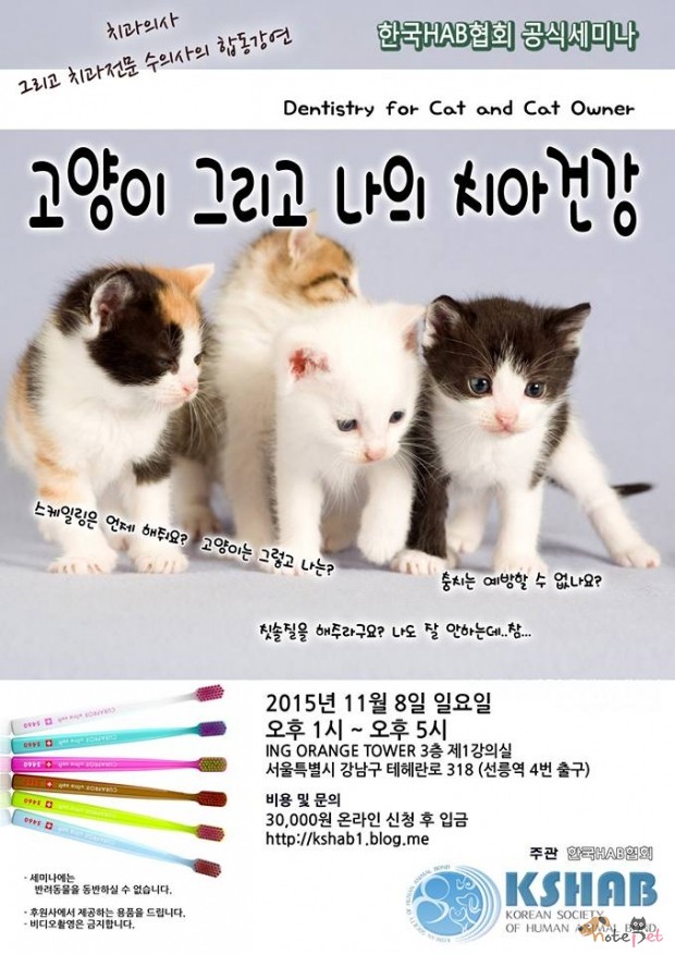 노트펫