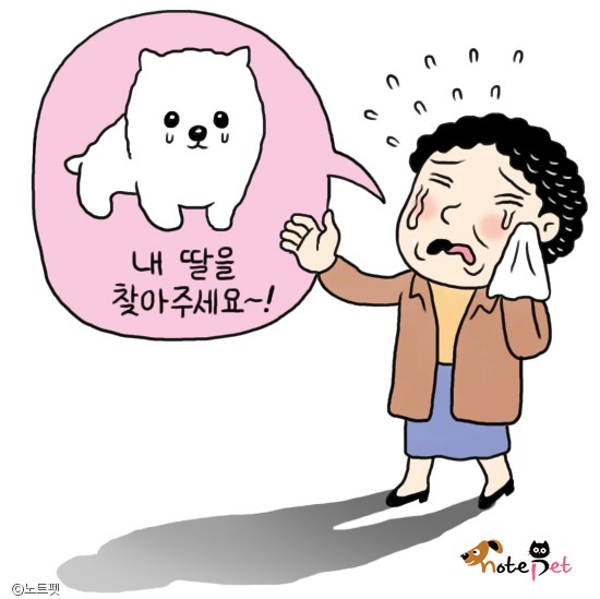노트펫