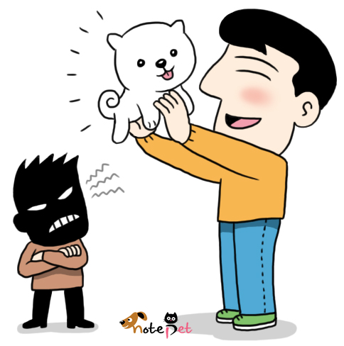 노트펫
