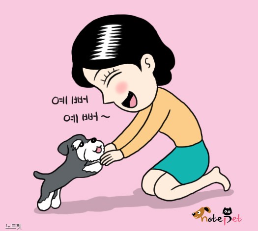 노트펫