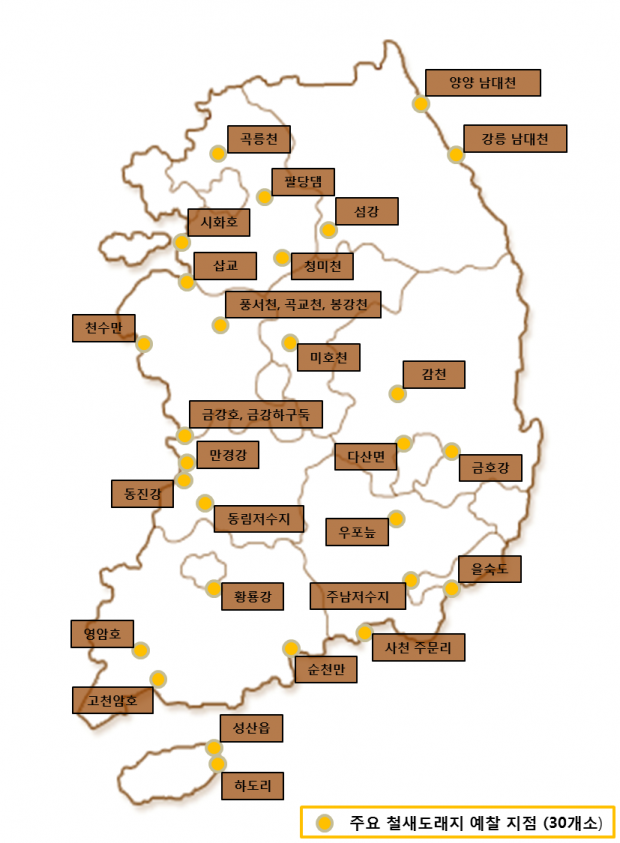 노트펫