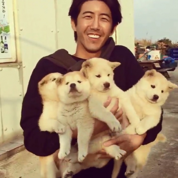 노트펫