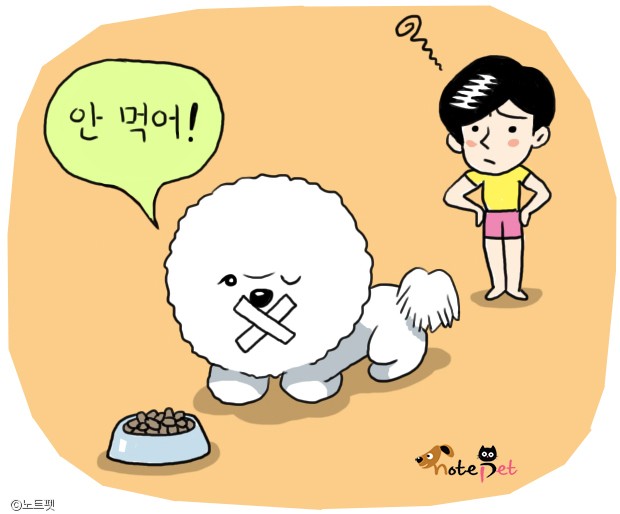 노트펫