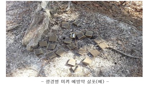 노트펫