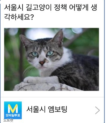 노트펫