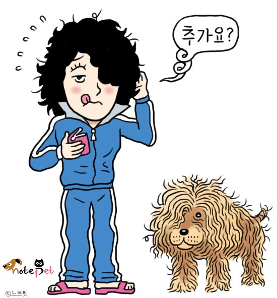 노트펫