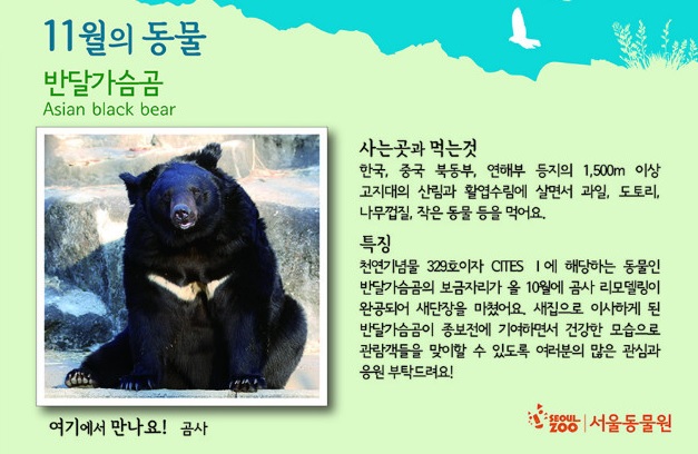 노트펫