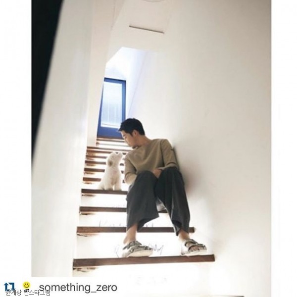 노트펫