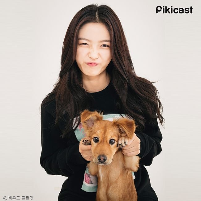 노트펫