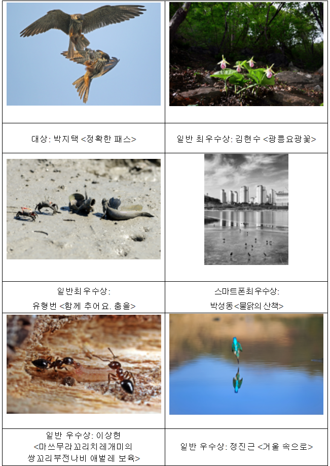 노트펫