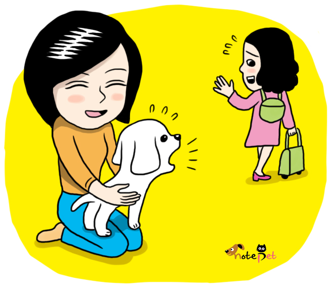 노트펫