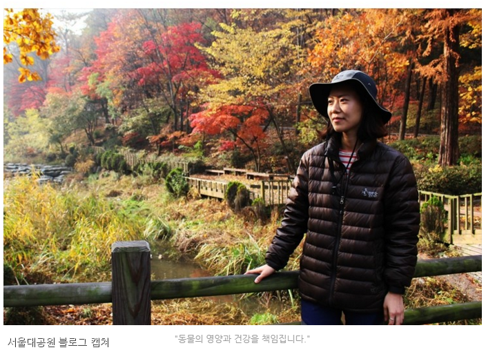 노트펫