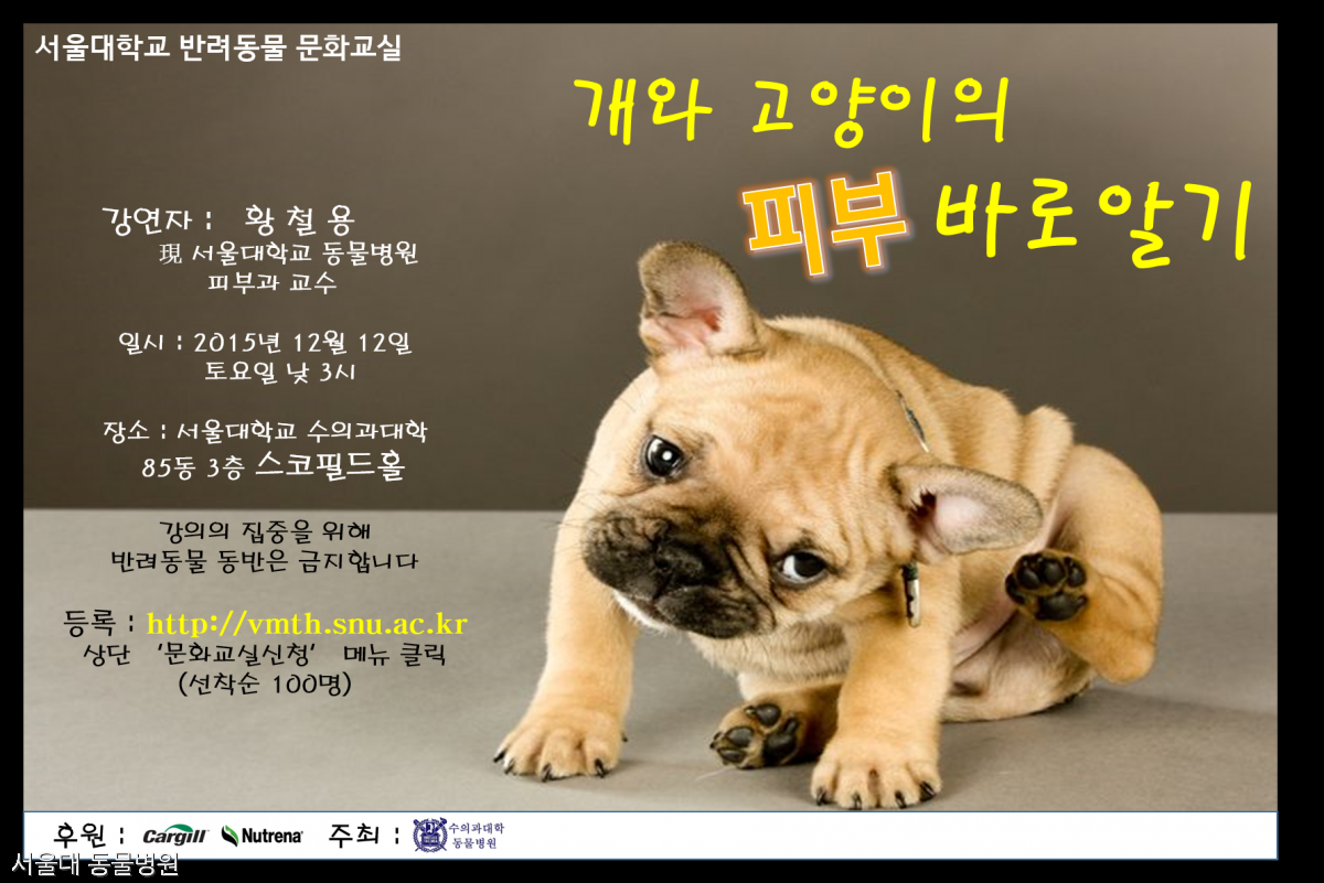 노트펫