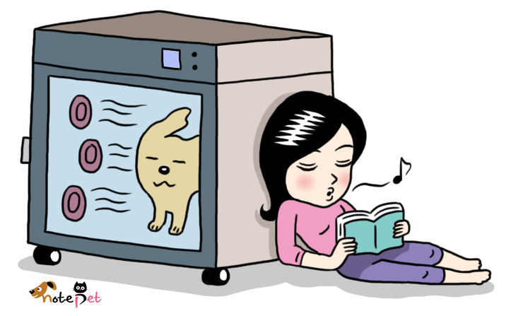 노트펫