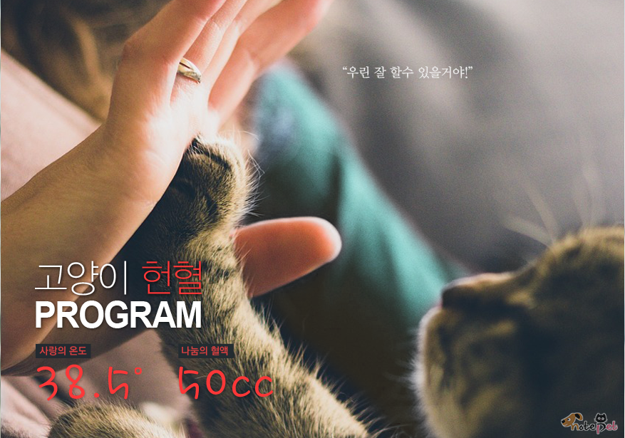노트펫