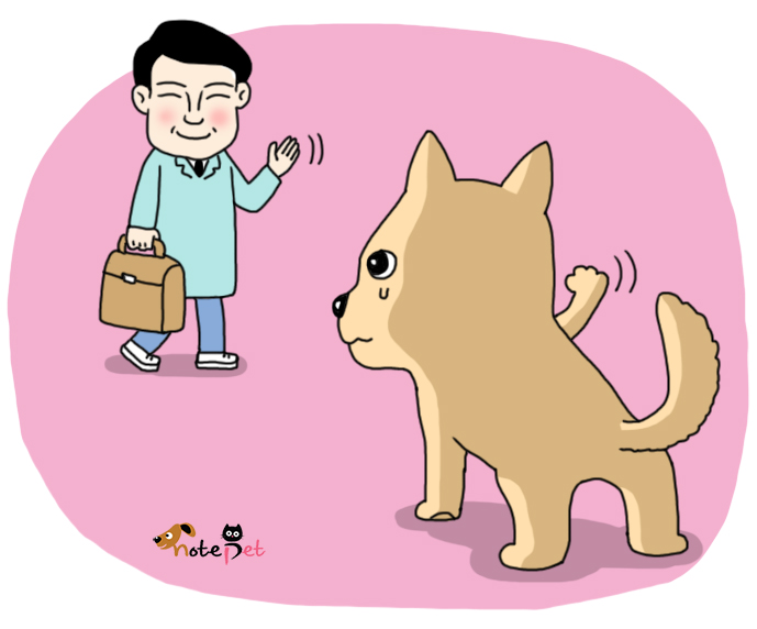 노트펫