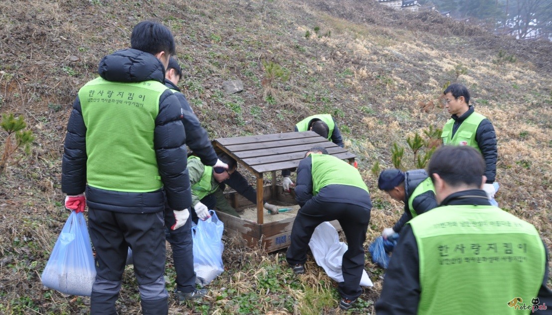 노트펫